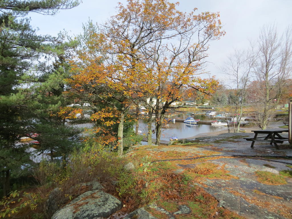 Halls Cottages Honey Harbor Buitenkant foto