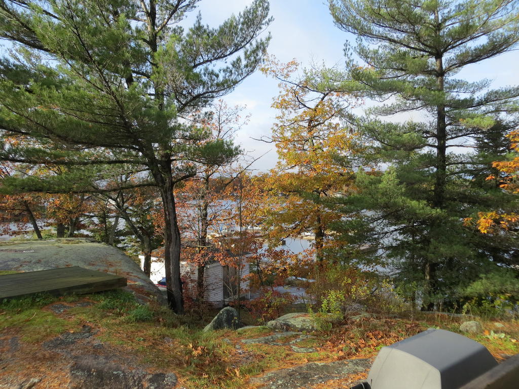 Halls Cottages Honey Harbor Buitenkant foto